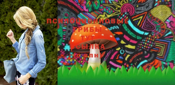спайс Баксан