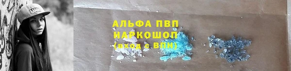 амф Аркадак