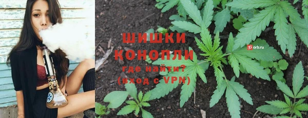 амф Аркадак