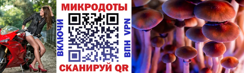 OMG вход  Верхнеуральск  Галлюциногенные грибы Magic Shrooms 